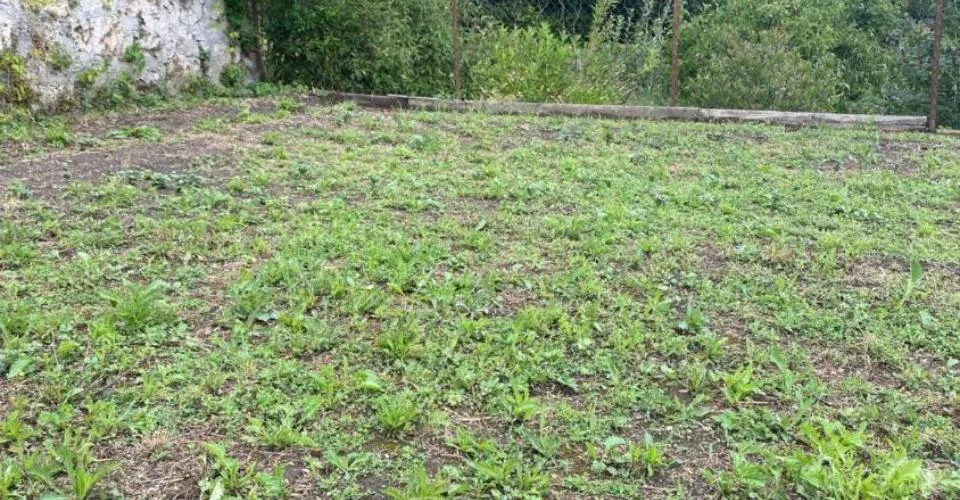 Plus que deux espaces disponibles! Découvrez un jardin, véritable havre de paix, en plein coeur de la ville de Fribourg !