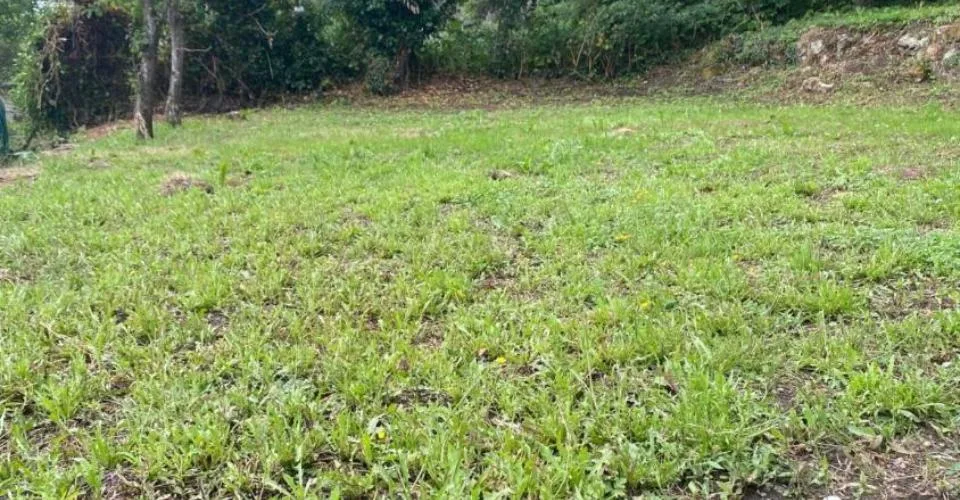 Plus que deux espaces disponibles! Découvrez un jardin, véritable havre de paix, en plein coeur de la ville de Fribourg !