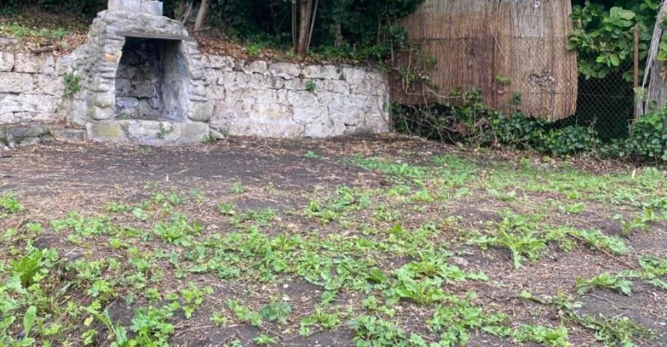 Plus que deux espaces disponibles! Découvrez un jardin, véritable havre de paix, en plein coeur de la ville de Fribourg !