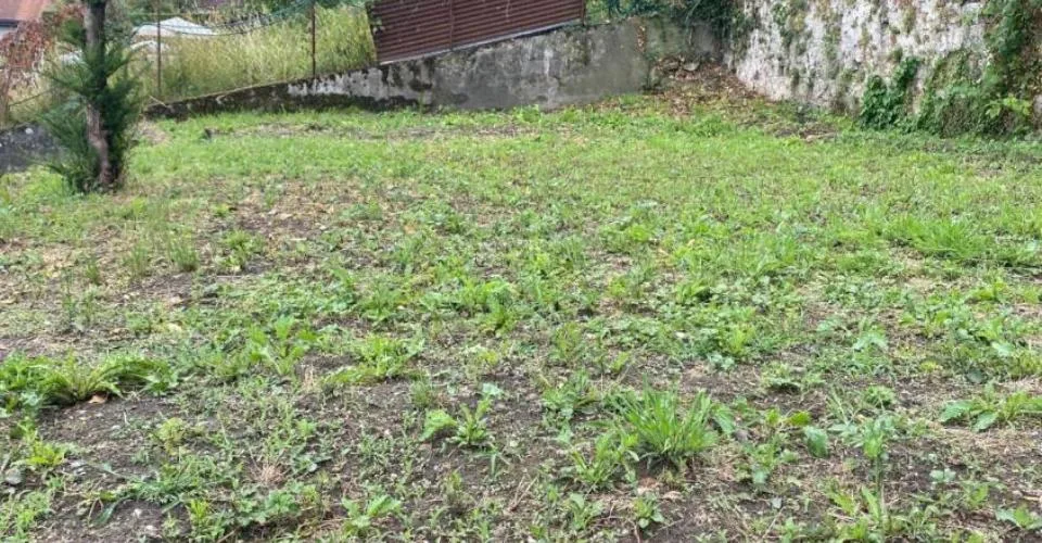 Plus que deux espaces disponibles! Découvrez un jardin, véritable havre de paix, en plein coeur de la ville de Fribourg !