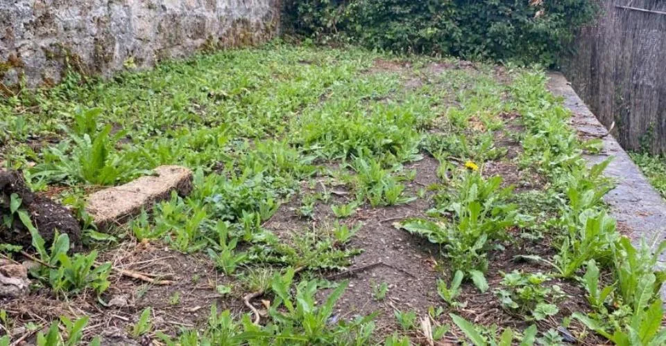 Plus que deux espaces disponibles! Découvrez un jardin, véritable havre de paix, en plein coeur de la ville de Fribourg !