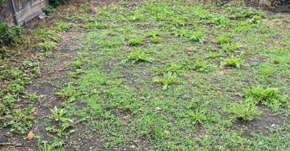 Plus que deux espaces disponibles! Découvrez un jardin, véritable havre de paix, en plein coeur de la ville de Fribourg !