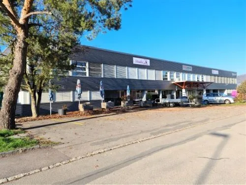 A louer dans un grand complexe industriel, artisanal et administratif rénové 3 surfaces de 407 m², 250 m² et 165 m²