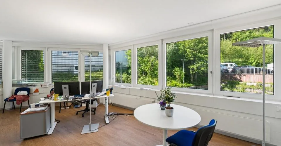 À louer, Bureau, 8800 Thalwil, Ref. 6015643