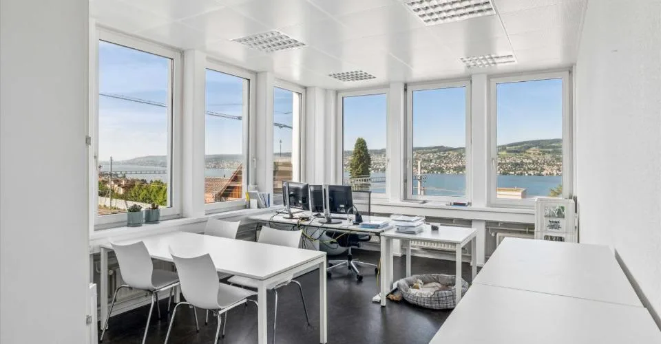 Arbeiten mit Seesicht: Attraktive Bürofläche im Herzen von Horgen