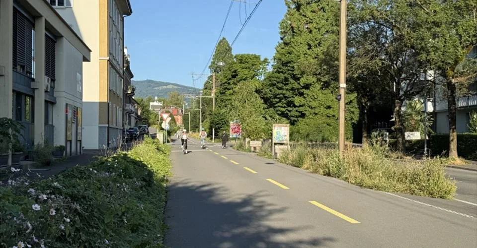 Bureaux en plein centre de Lucerne, avec places de parking devant l'immeuble et accès direct à la piste cyclable du Freigleis.