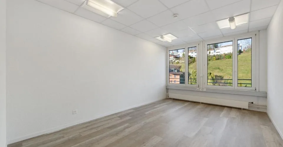 Réalisez votre rêve professionnel - Centre d'affaires Willisau !