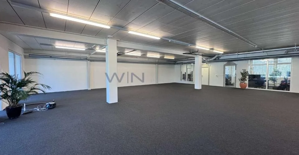 Steuern sparen & durchstarten: Top-Büro + Showroom