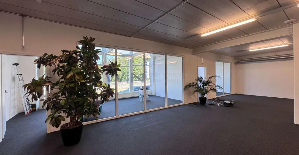 Steuern sparen & durchstarten: Top-Büro + Showroom