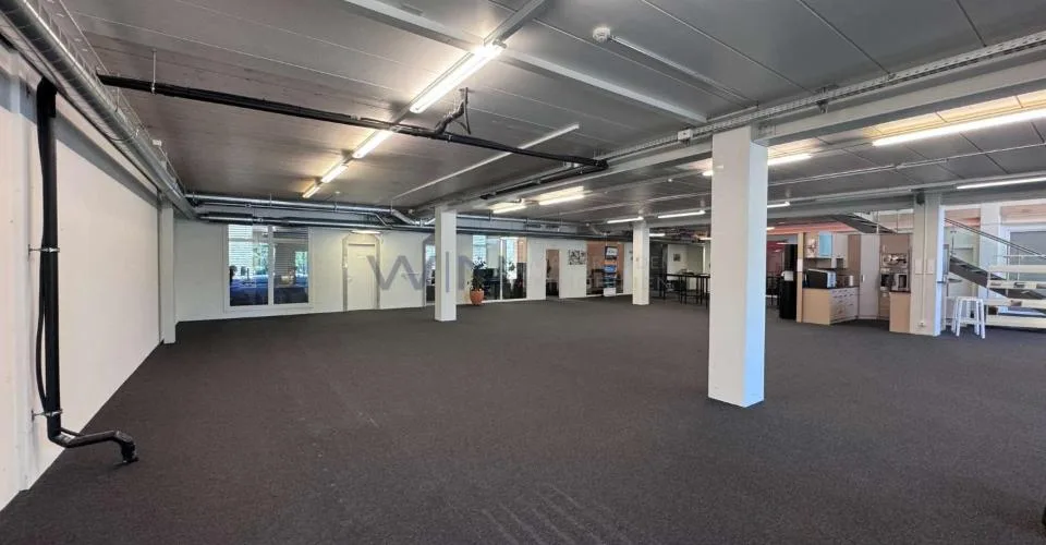 Steuern sparen & durchstarten: Top-Büro + Showroom