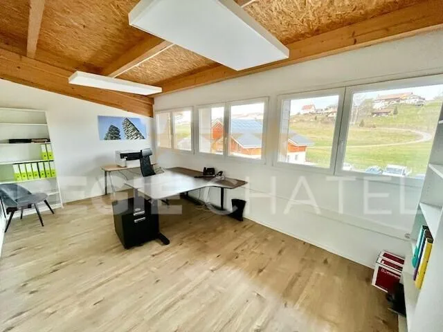 Spacieux open space à louer (2 bureaux)