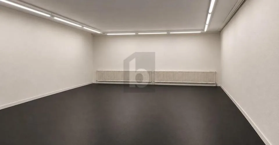 START-UP FEELING