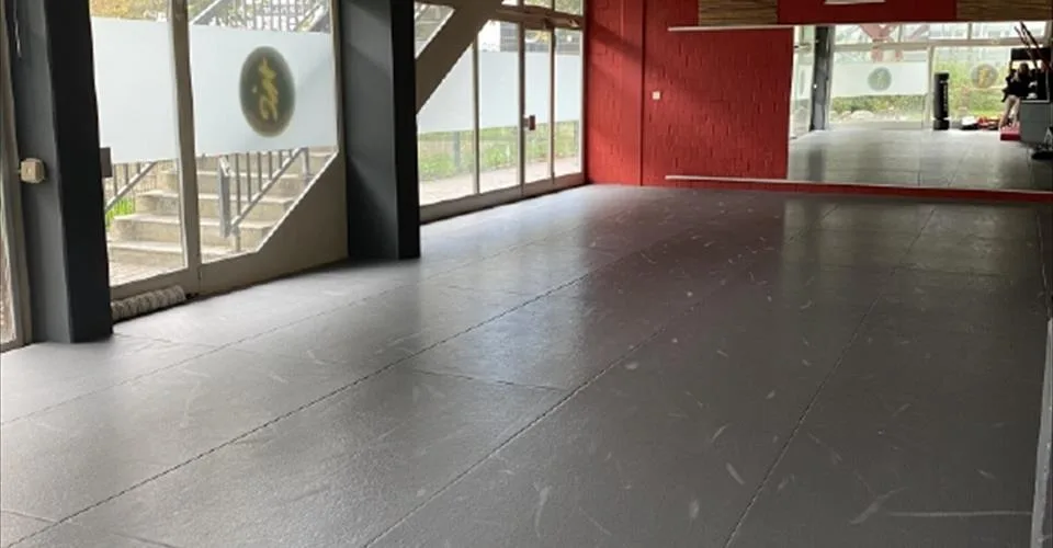 Salle commerciale ou salle de karaté au rez-de-chaussée (215 m2)