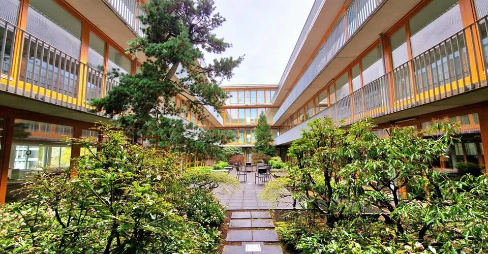 Bureaux, cabinets ou showrooms de 150 m2 à 1 120 m2 avec une différence : inondés de lumière et avec le style Pateo