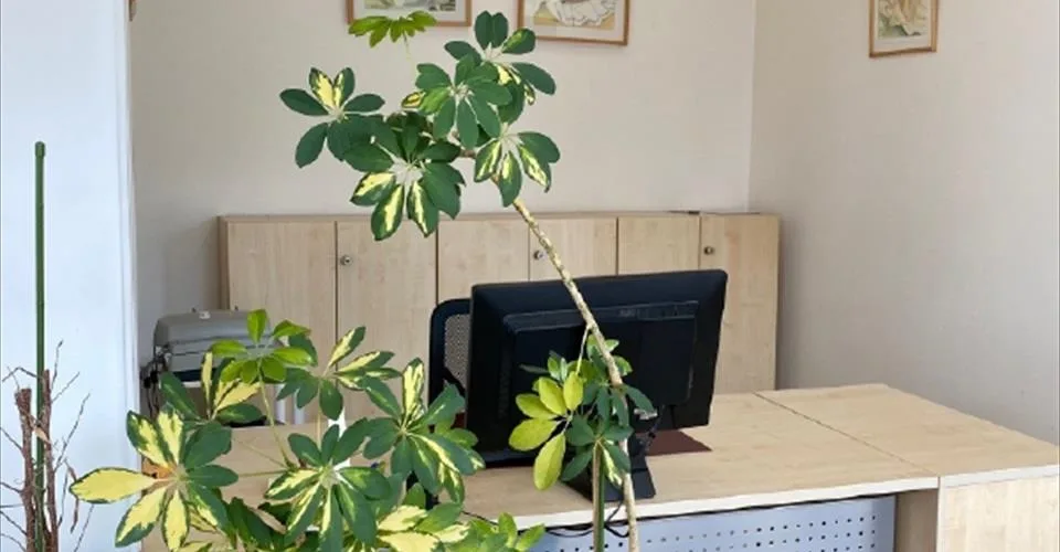 Espace de bureau à louer au rez-de-chaussée