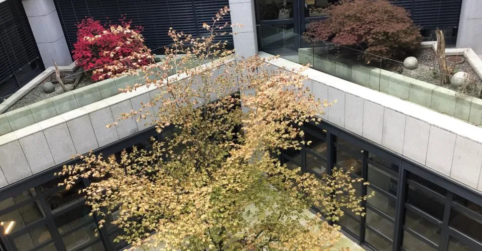 Bureaux modernes de 530 m2