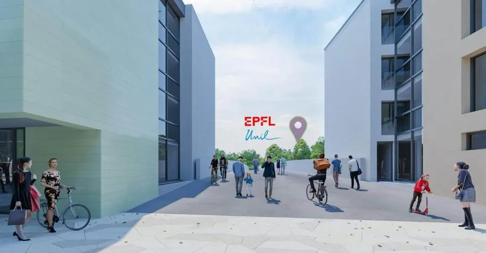 Bureaux à louer dans un nouveau quartier