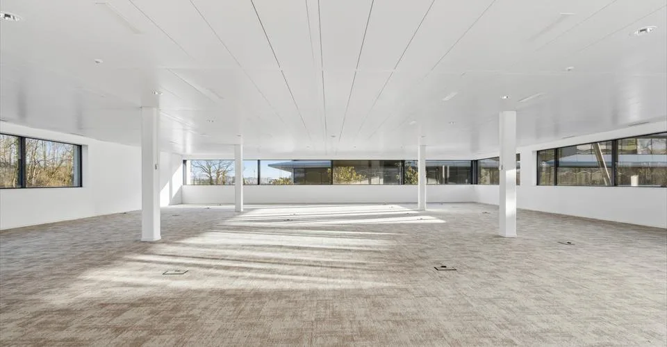 Bureau de 181 m² à louer à Terre Bonne
