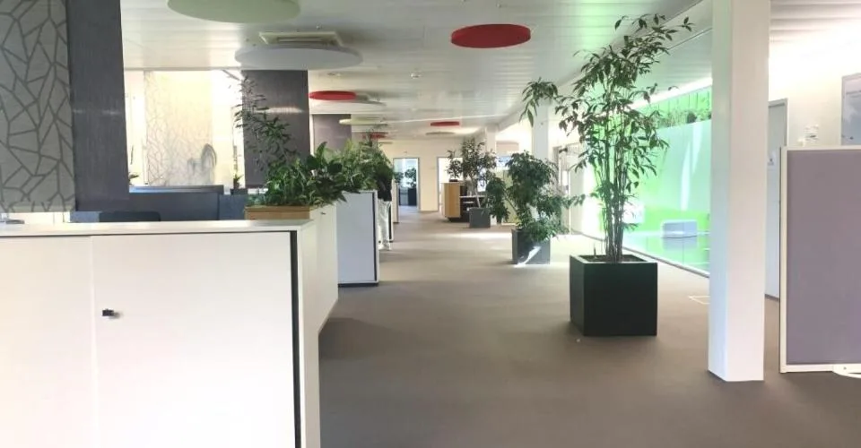 Bureau de 278 m2 très bon standing - loyer bon marché