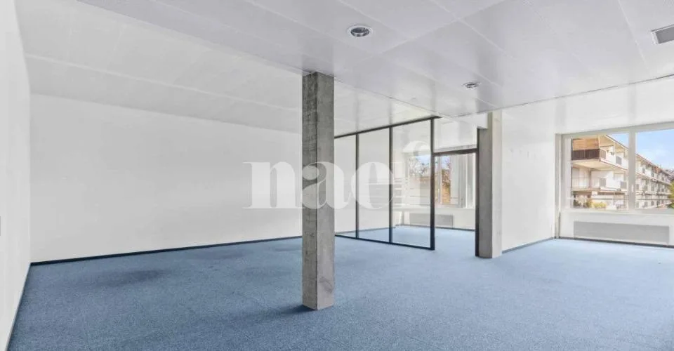 Résidence de Précossy - Magnifique surface modulable d'env. 333 m2 au 1er étage