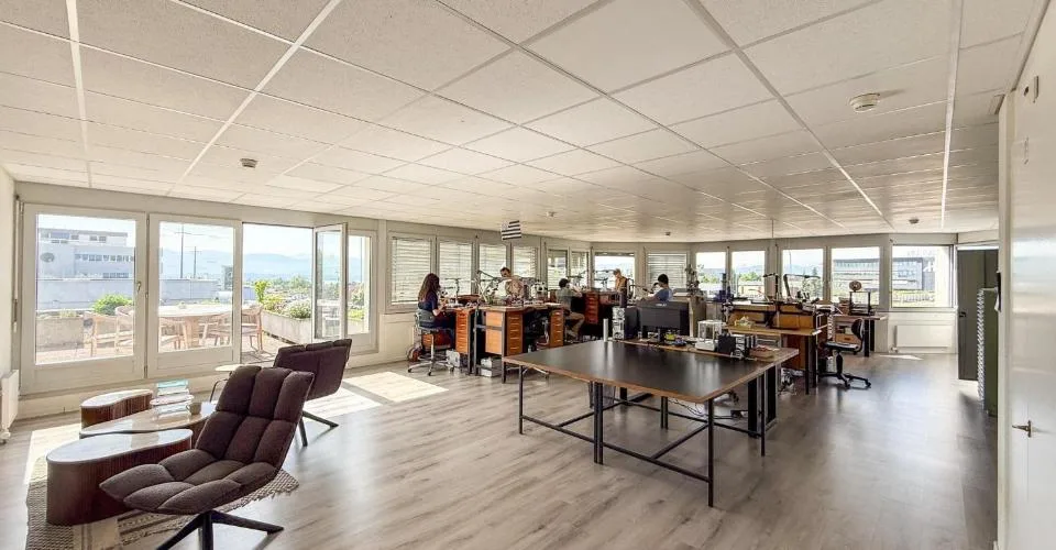 2 grandes surfaces avec 3 bureaux fermés, lumineux, calme, terrasse, 3 mois offerts !