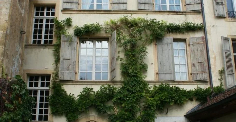 Bureaux à louer dans un immeuble de prestige