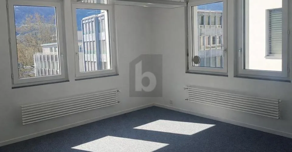 LUMINEUX, PRATIQUE ET CENTRAL