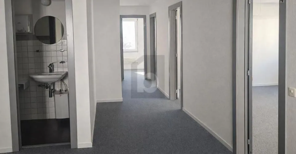 LUMINEUX, PRATIQUE ET CENTRAL