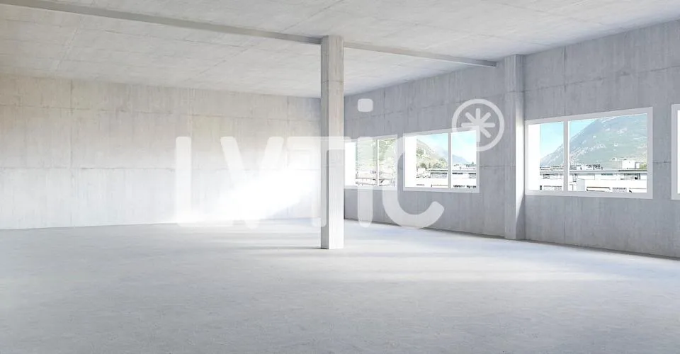 Locaux, cabinets, bureaux de 630 m2 divisibles à louer à Martigny