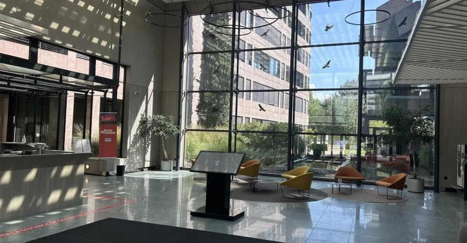 Surface bureaux 228 m2