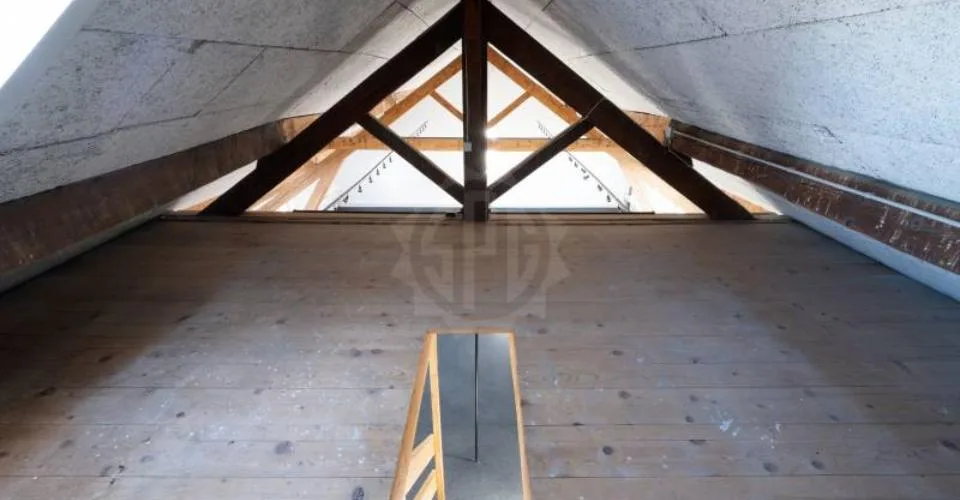Bureaux spacieux - Carouge GE