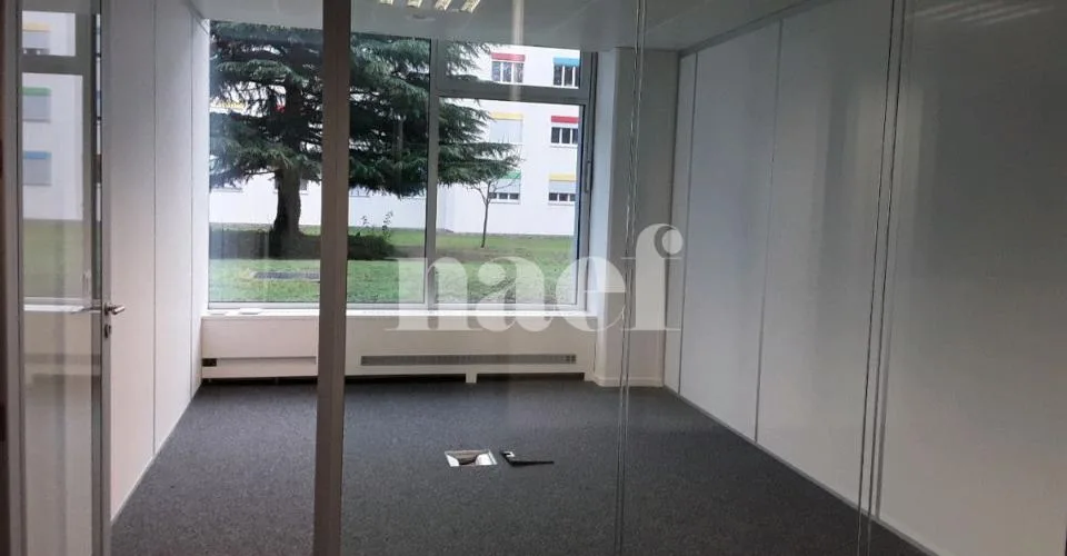 Bureaux lumineux d'environ 262 m2 - Secteur stratégique de Genève