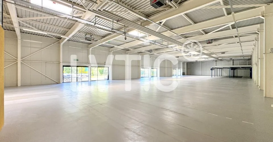 Locaux, showrooms, dépôts de 1000 m2 à louer à Yverdon