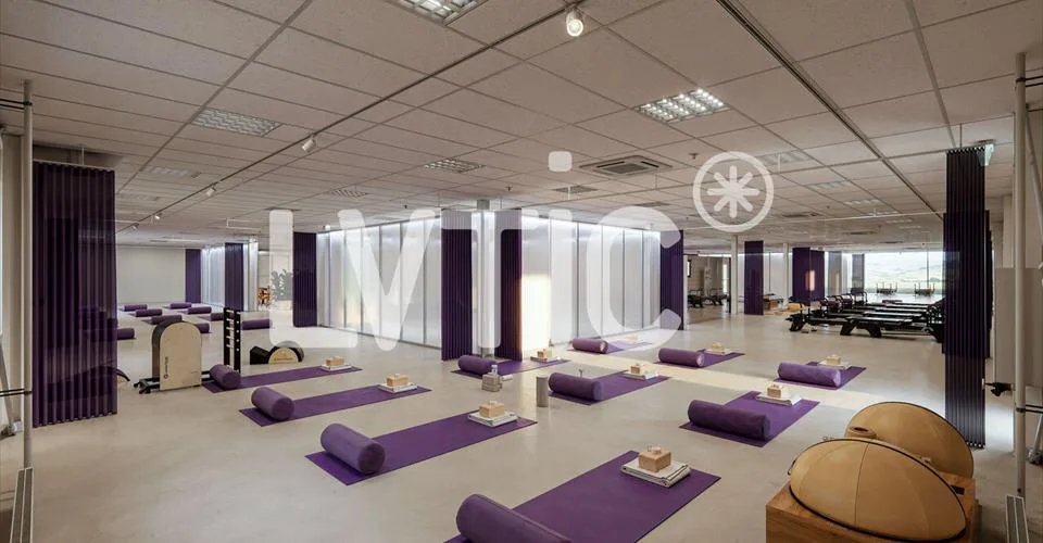 Showroom, bureaux, locaux de 1665 m2 divisibles à louer à Conthey