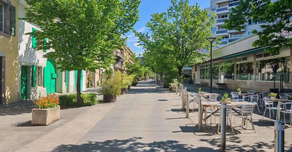 Chêne-Bourg - CHF 300.--m2-an - Arcade de 470m2 avec un dépôt au sous-sol d'environ 230m2