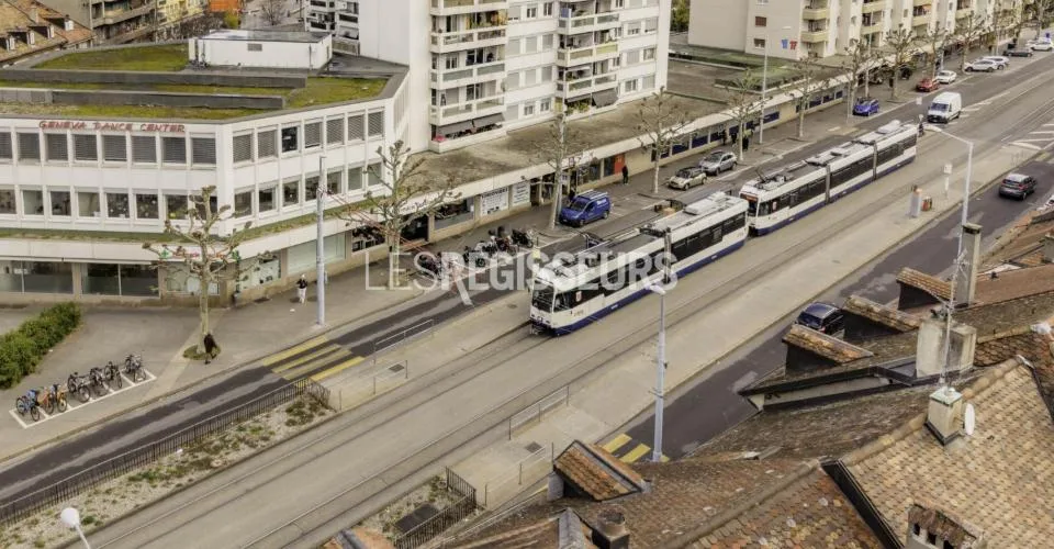 Spacieuse arcade dans un centre commercial à Chêne-Bourg