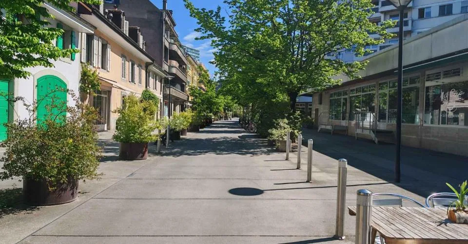 Chêne-Bourg - CHF 350.--m2-an - Arcade de 263m2 + dépôt au sous-sol d'environ 230m2