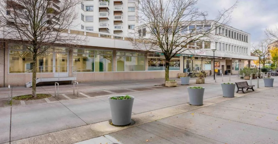 Chêne-Bourg - CHF 350.--m2-an - Arcade de 263m2 + dépôt au sous-sol d'environ 230m2