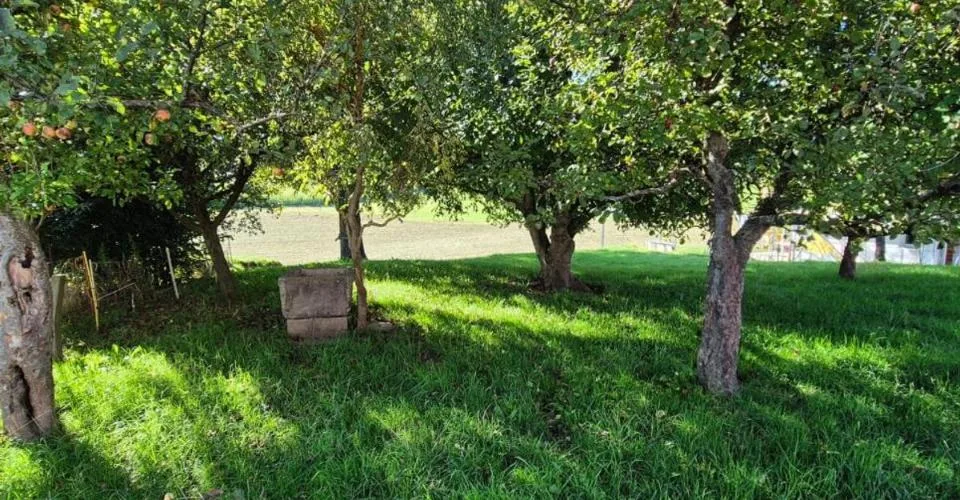 EN EXCLUSIVITE - Immeuble de rendement et 2 terrains constructibles à Vaulruz