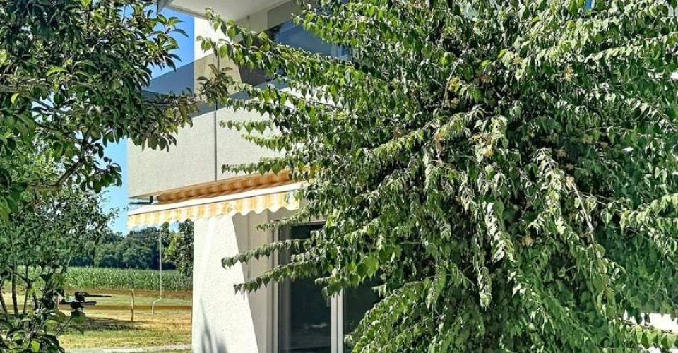 Très bel appartement rénové de 3.5 pces avec balcon