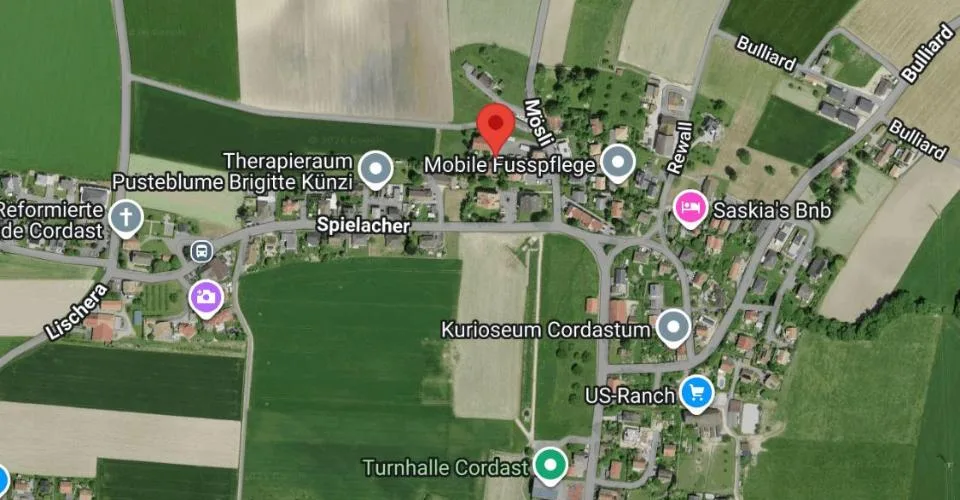 Très bel appartement rénové de 4.5 pces avec jardin
