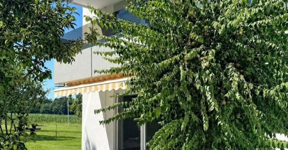 Très bel appartement rénové de 4.5 pces avec jardin