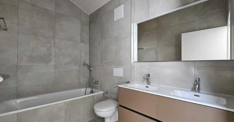 DERNIERE OPPORTUNITE VILLA NEUVE EN GRUYERE
