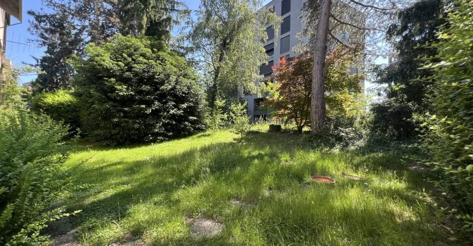 Attique lumineux avec vaste terrasse panoramique aux portes de Bâle
