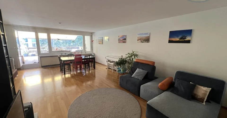 Attique lumineux avec vaste terrasse panoramique aux portes de Bâle