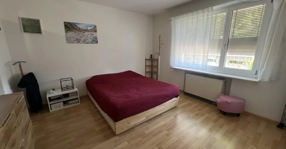 Attique lumineux avec vaste terrasse panoramique aux portes de Bâle