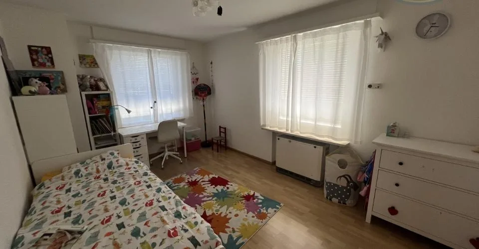 Attique lumineux avec vaste terrasse panoramique aux portes de Bâle
