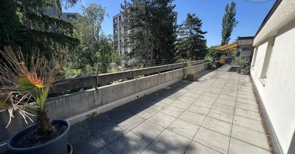 Attique lumineux avec vaste terrasse panoramique aux portes de Bâle