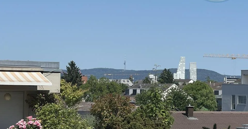 Attique lumineux avec vaste terrasse panoramique aux portes de Bâle