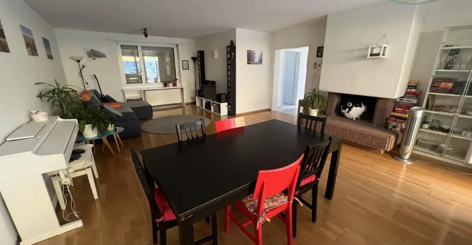 Attique lumineux avec vaste terrasse panoramique aux portes de Bâle